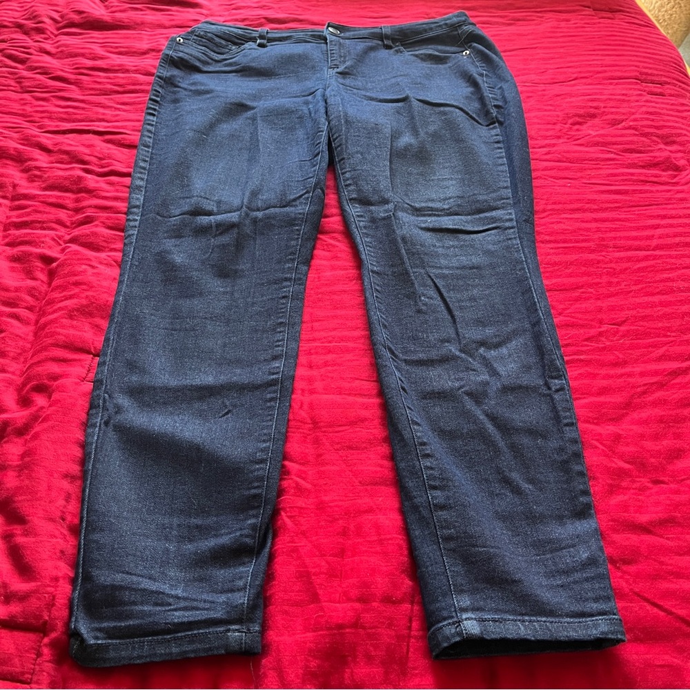 Lane Bryant Women's Dark Blue Jeans